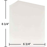 Lopi Small Double Door Glass (8 3/4" x 6 3/4"): (380440) 99400114-AMP