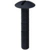 Blackstone M6 Phillips Slottled Hex Head Screw Black 38 mm Length